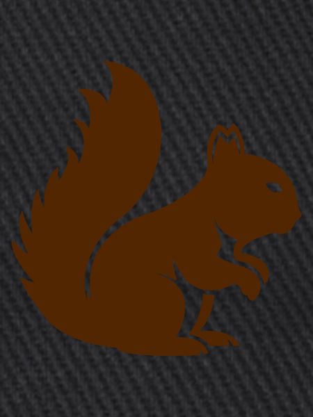 Eichhörnchen Tier