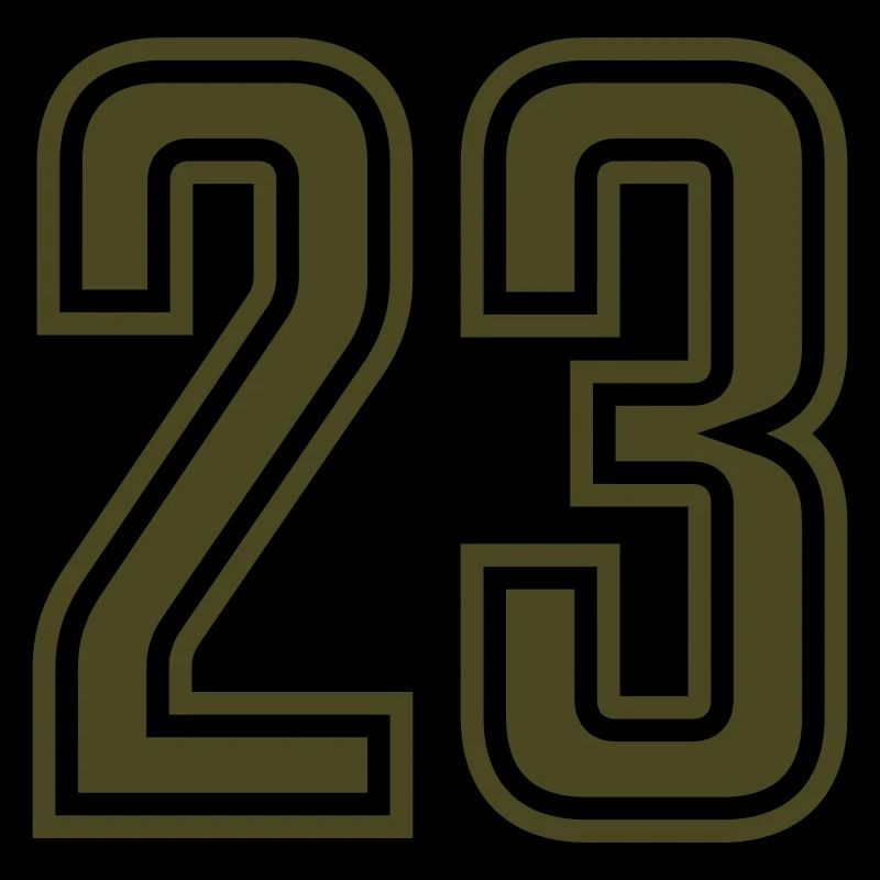 23