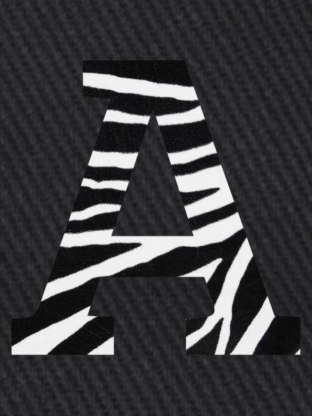 Brief an zebra