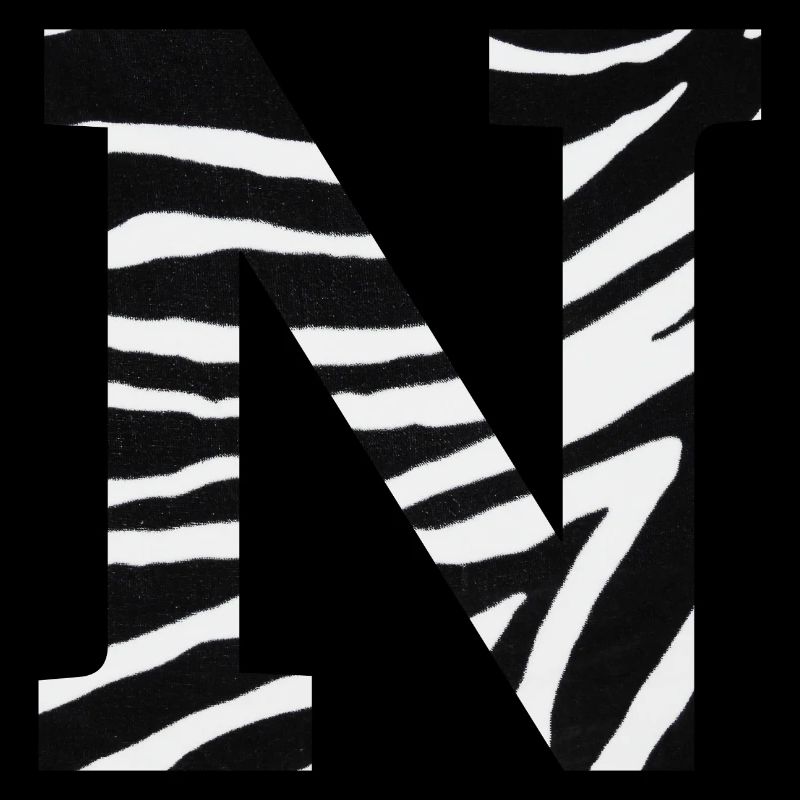 Letter n zebra