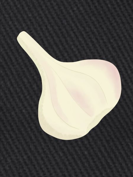 Knoblauch-Knolle