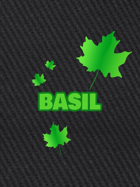 Fortwirt Basil