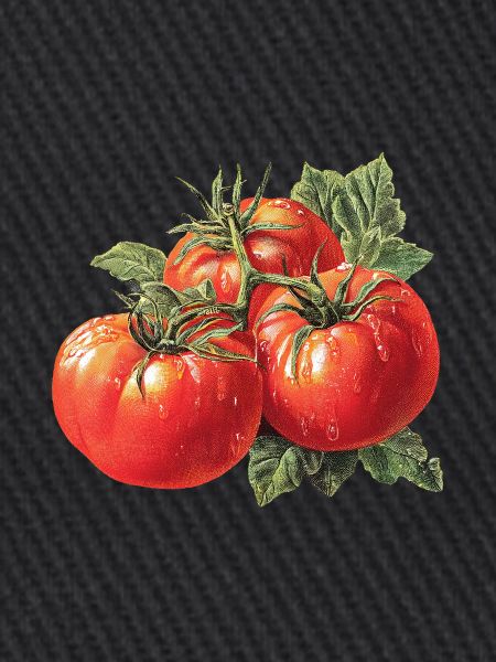 Tomate