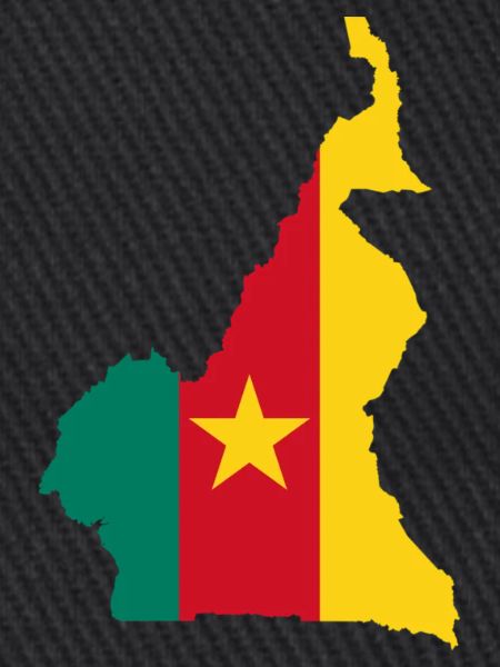 Cameroon map