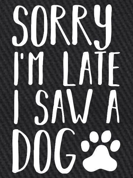 Hund Hunde