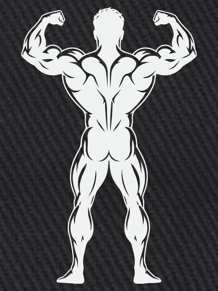  Rückenprint: Bodybuilder-Trainings,