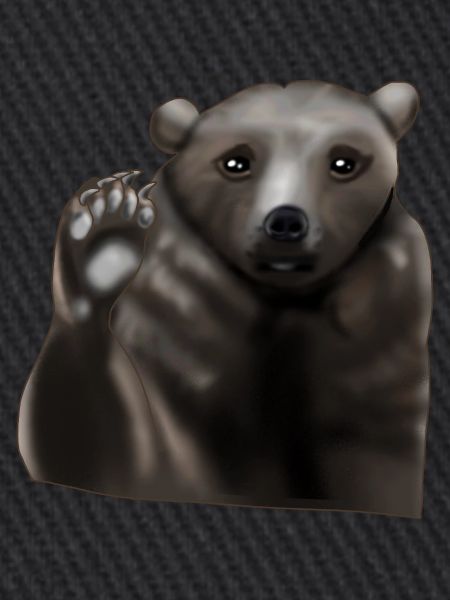 Brown bear