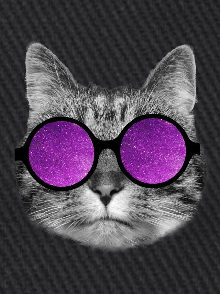 Space kitty