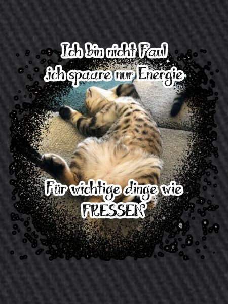 Lazy Cat