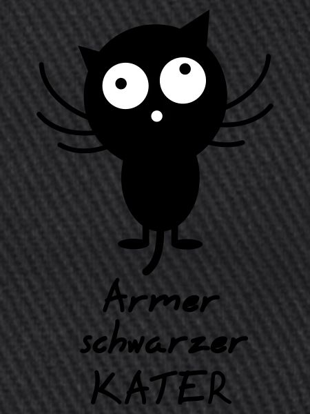 armer schwarzer Kater