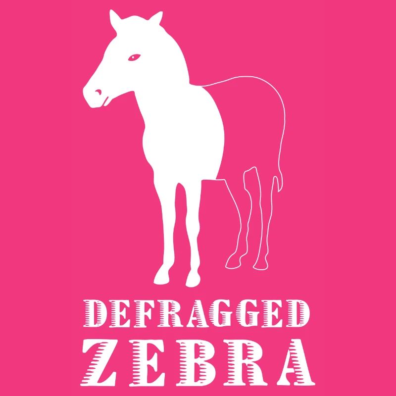 Defragged Zebra Computer Scientist Admin Geek Gift