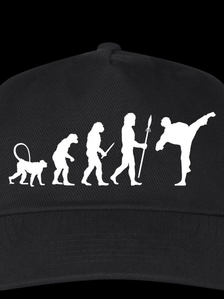 Karate Evolution