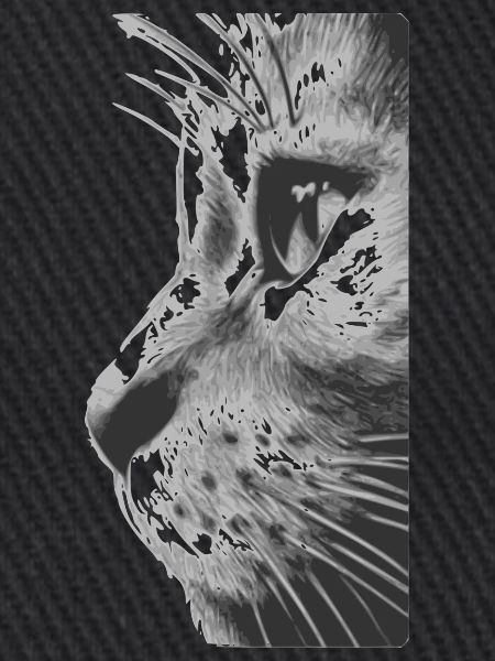Katzengesicht