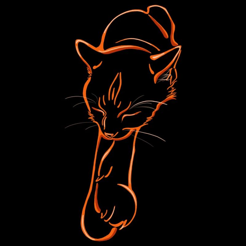 Sleeping cat