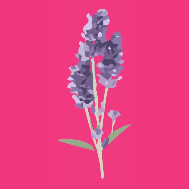 Lavendel