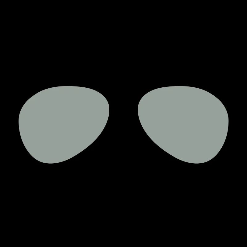 Die Flieger Brille