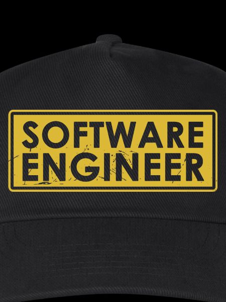 Software-Ingenieur