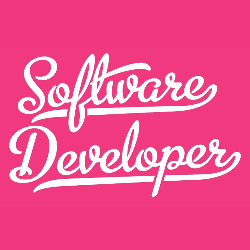 Software Developer