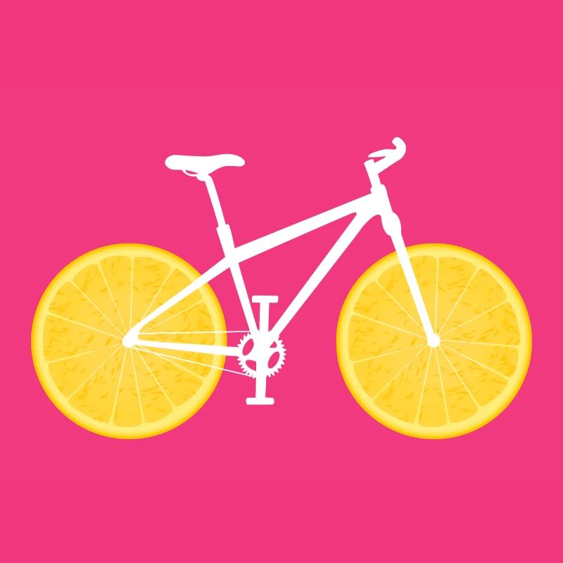 Fruit Bicycle Lemon Lime Orange / Gift