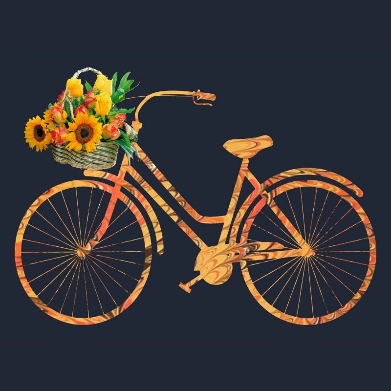 bicycle e 118