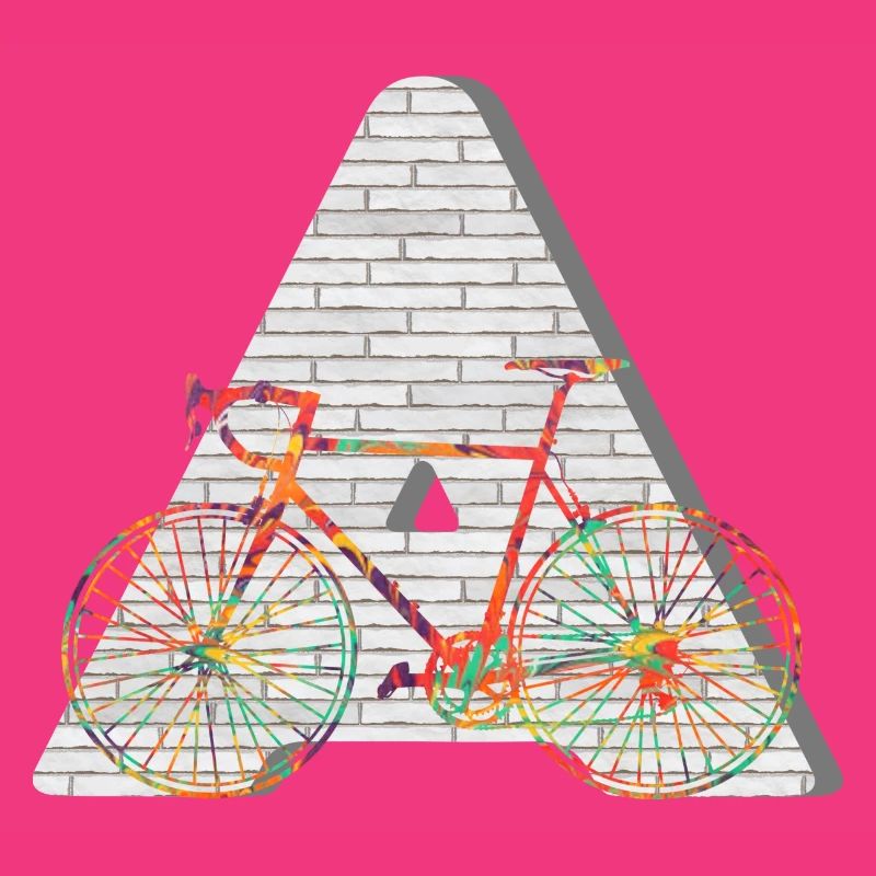 fahrrad e 249 a