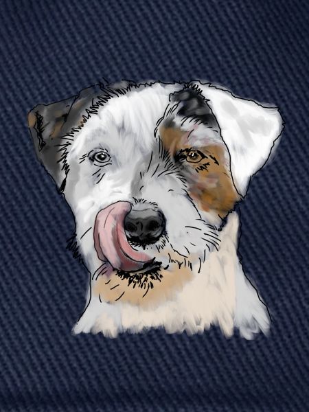 Terrier