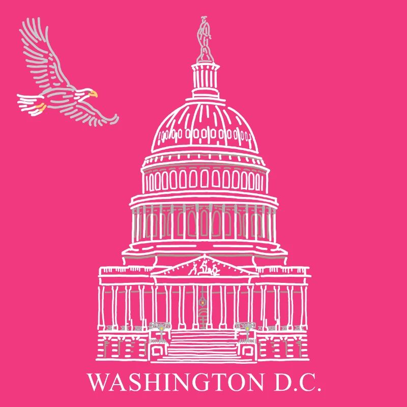 Washington D.C., Capitol Structure, Bald Eagle