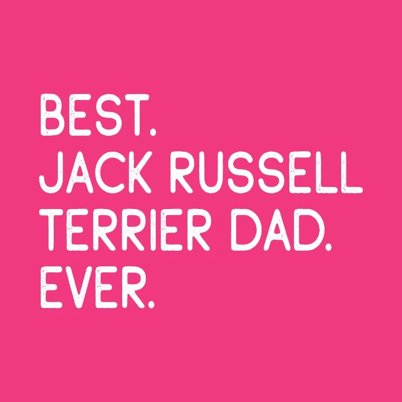 Jack Russell Terrier
