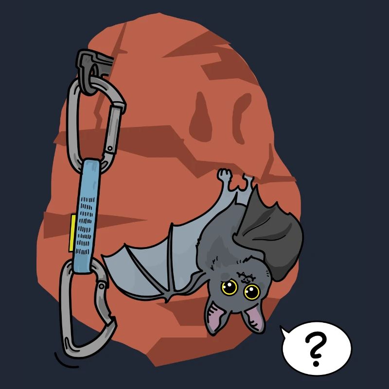 Escalade, Chauve-souris