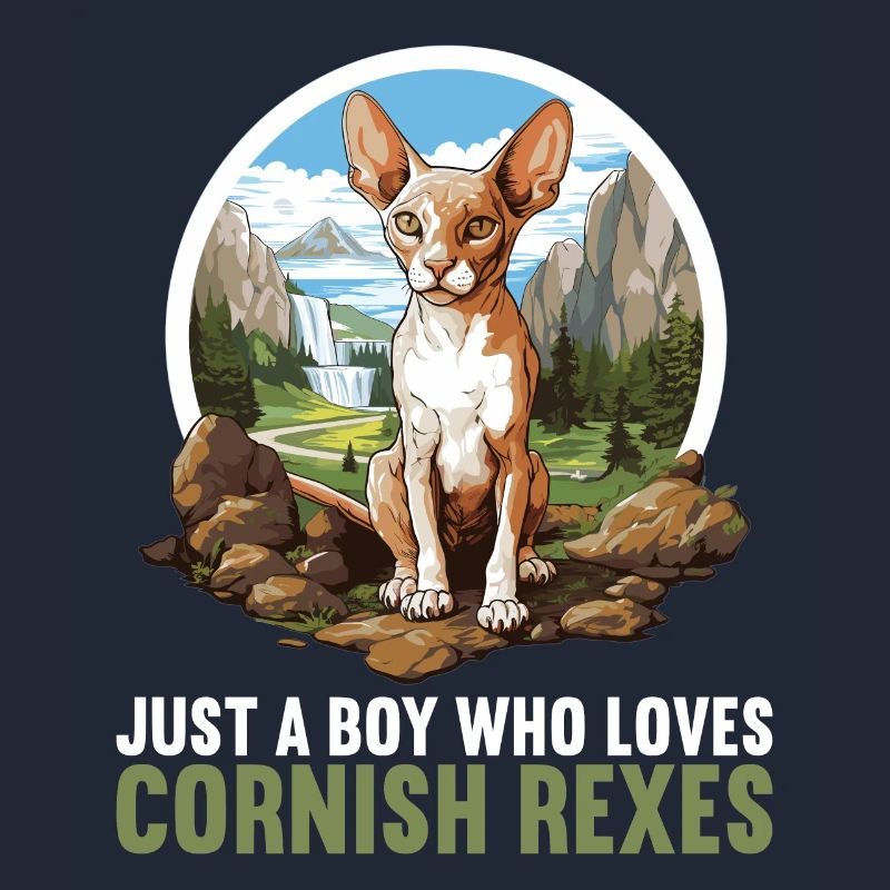 Cornish Rex Kitten Cornish Rex Cat