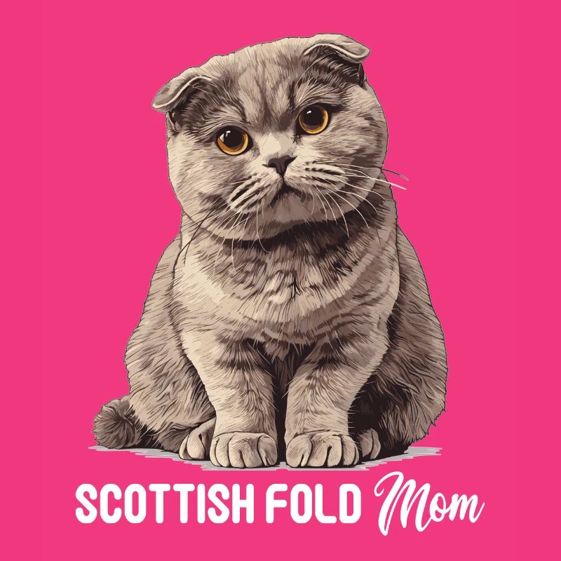 Scottish Fold Kätzchen Scottish Fold Katze