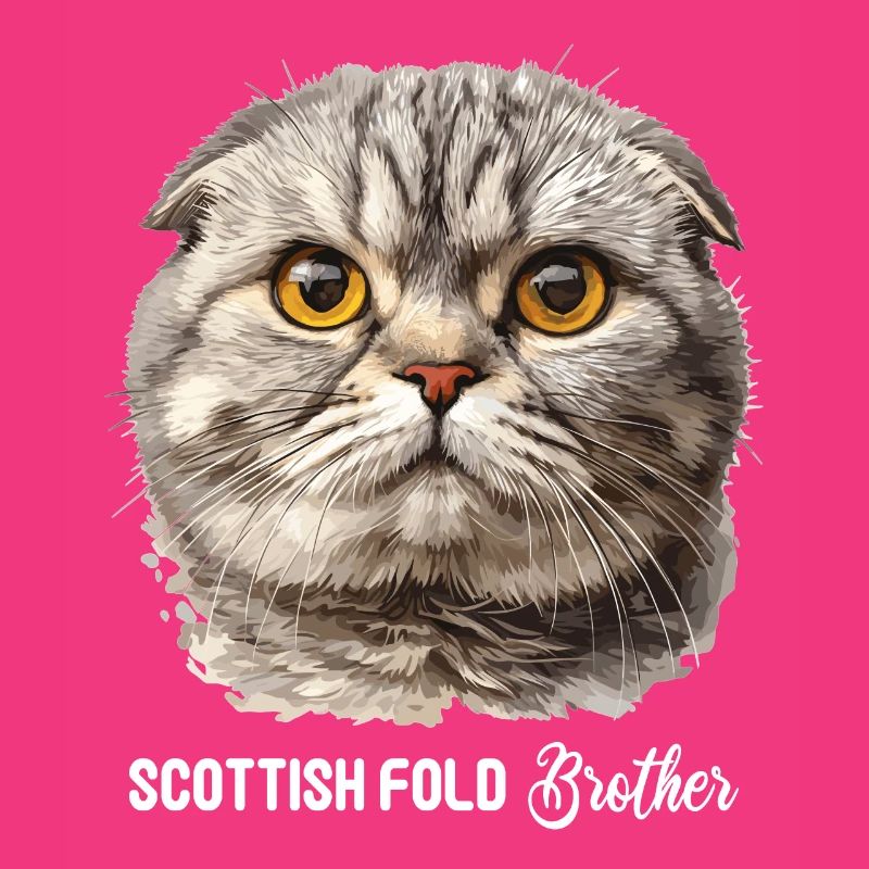 Scottish Fold Kätzchen Scottish Fold Katze