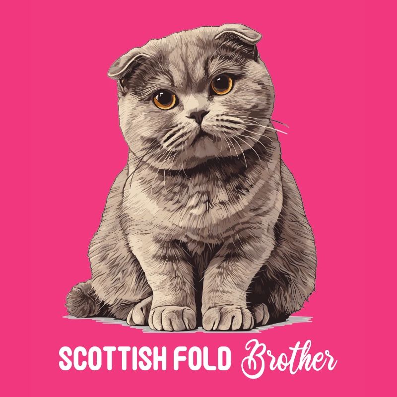Scottish Fold Kätzchen Scottish Fold Katze