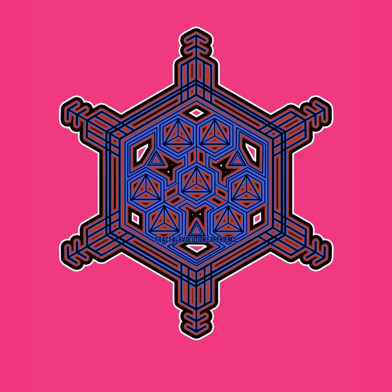 Fractal Evolution Experience Star Hexagon Pattern