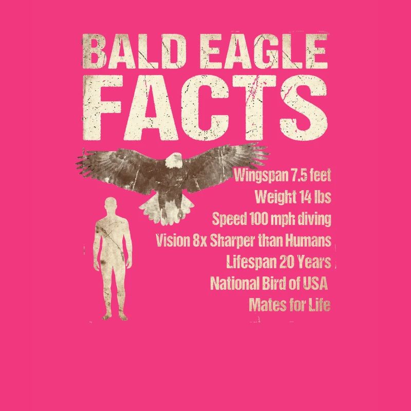 Bald Eagle Facts Bald Eagle Info