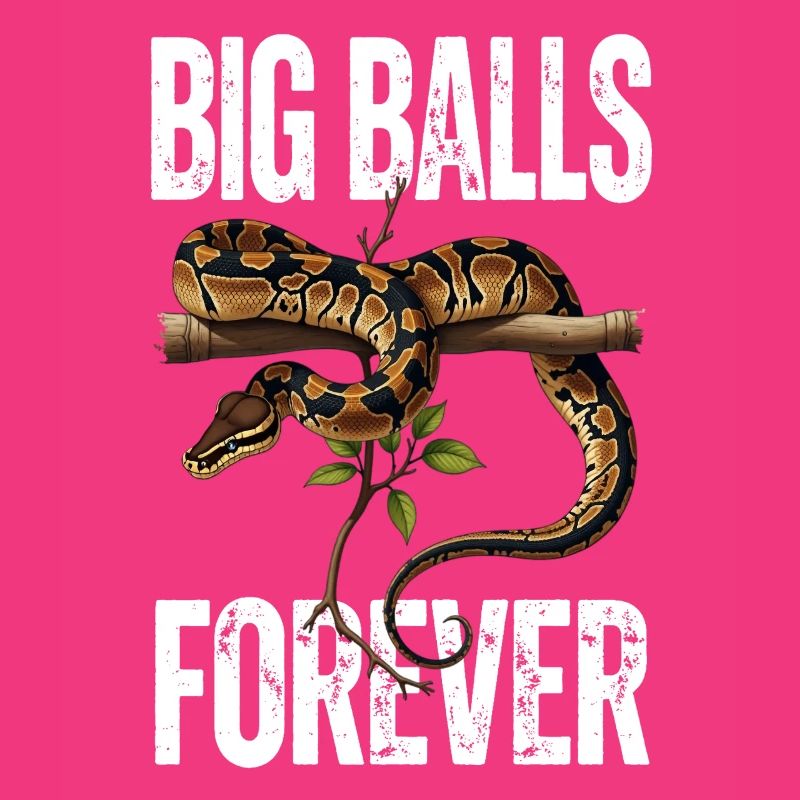 Python roi Serpents Amateurs de terrarium Python