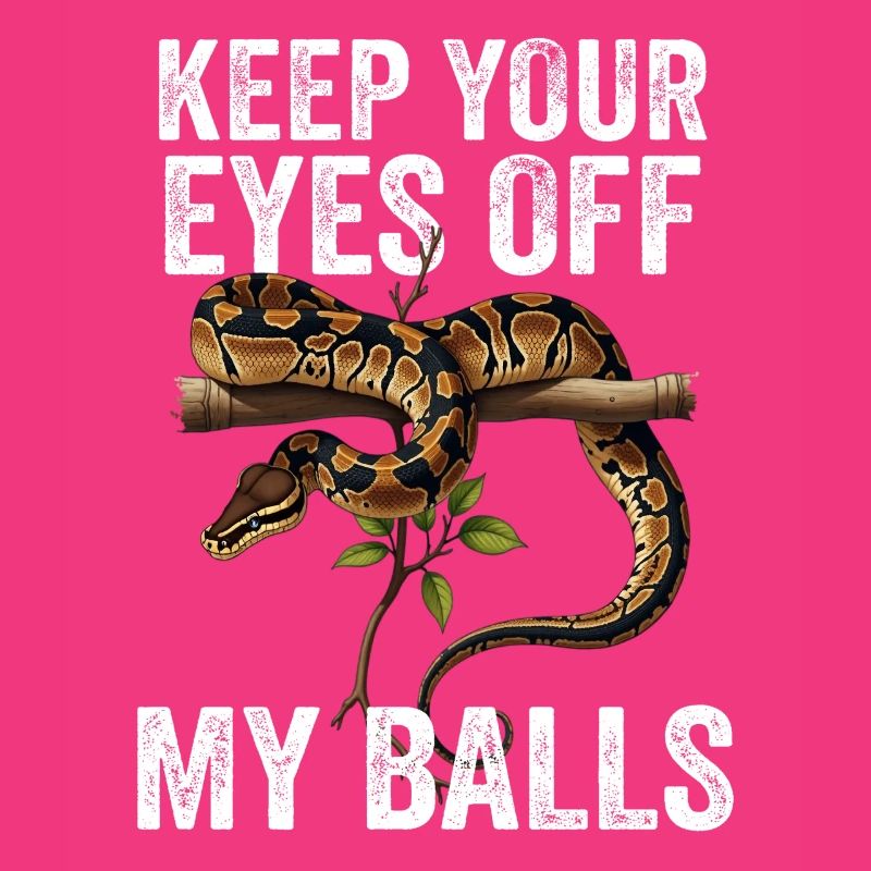 Königspython Schlangen Liebhaber Terrarium Python