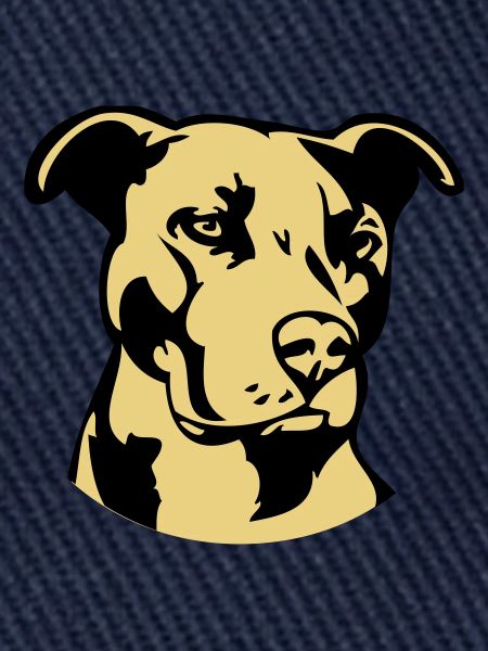 Pitbull zweifarbig - Hund Kampfhund