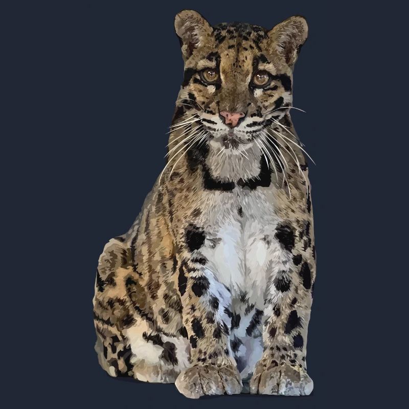 Nebelparder