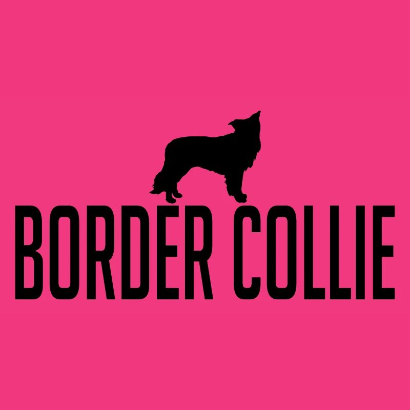 BORDER COLLIE Hunderasse