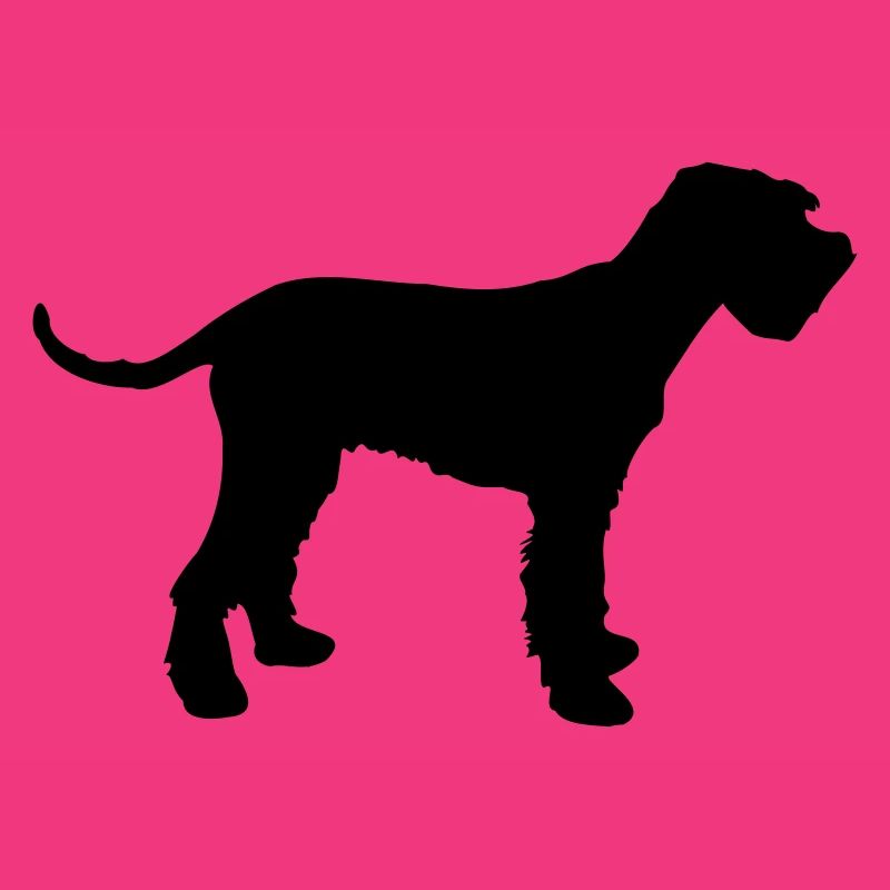 schnauzer géant
