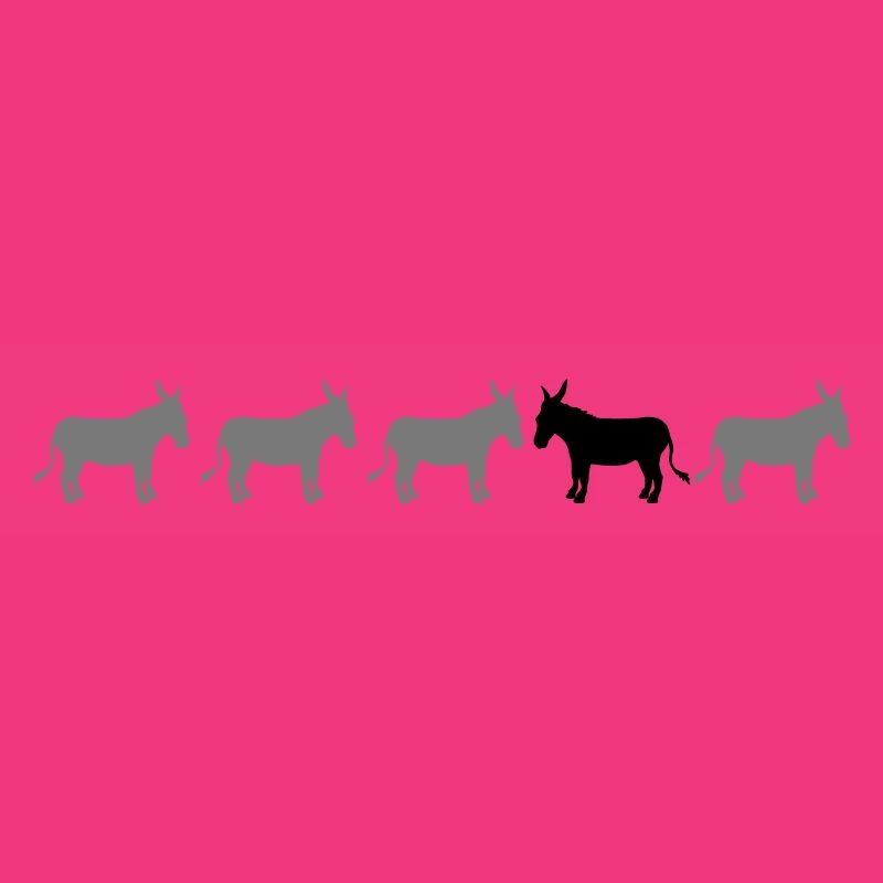 anders be different esel pferd pony klein packesel