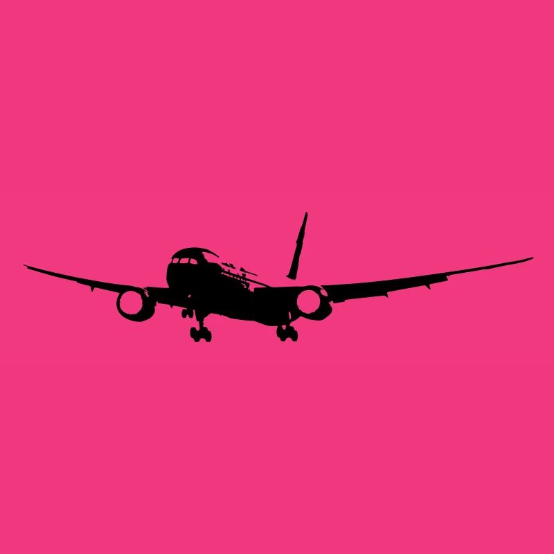 B-787 Flugzeug