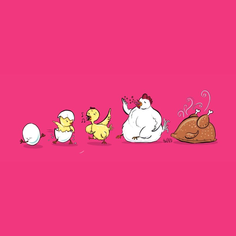Evolution Of Chicken