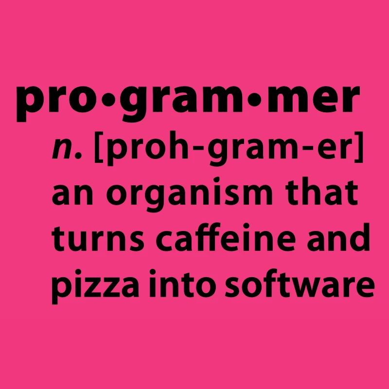Programmer Wörterbuchdefinition