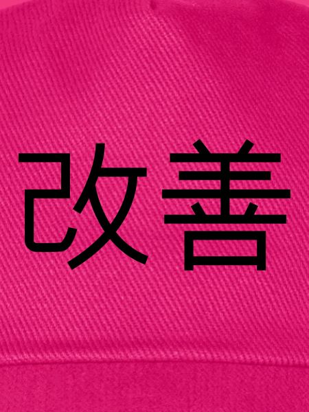 pet Kaizen