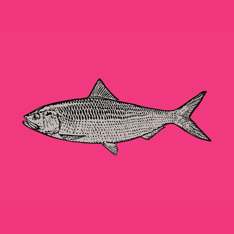 Fisch