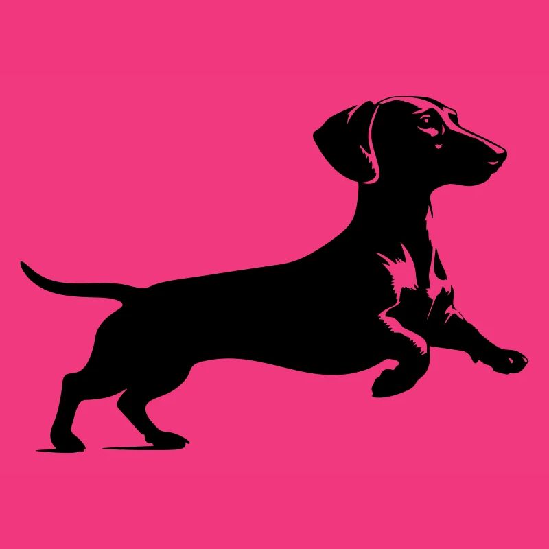 Dachshund