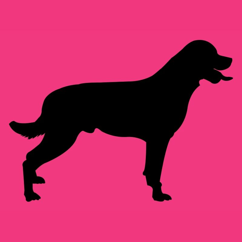 Hund