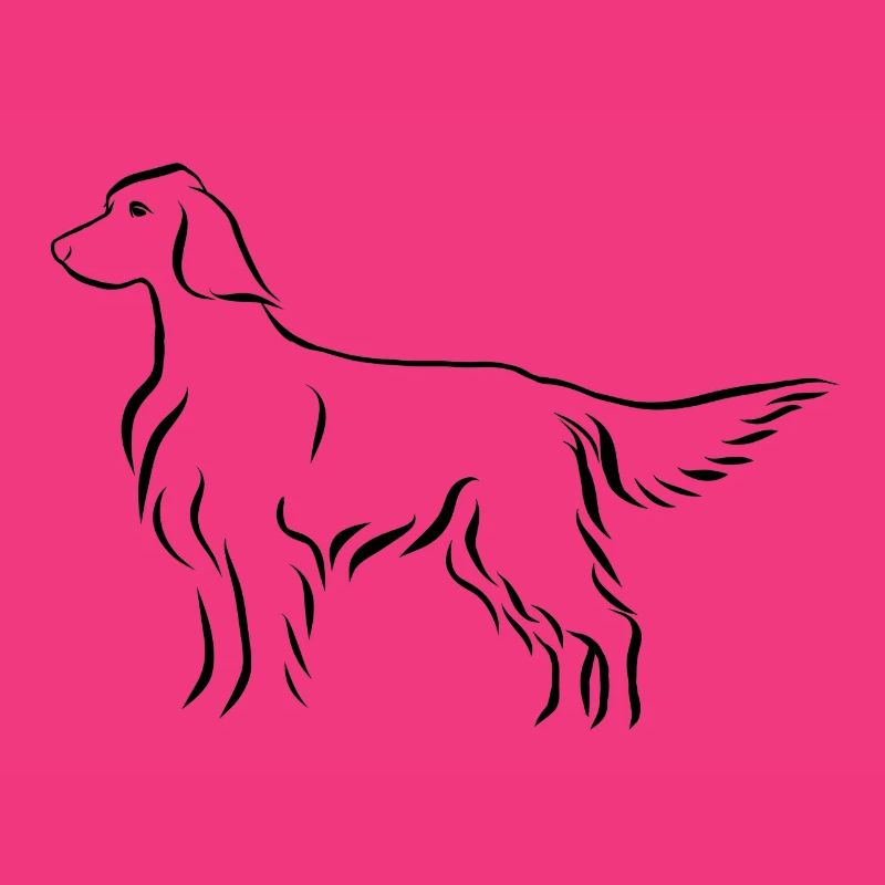 Setter stehend